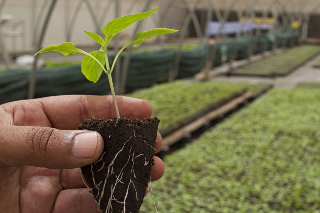 Géobiologie et Agriculture Bio et Biodynamique