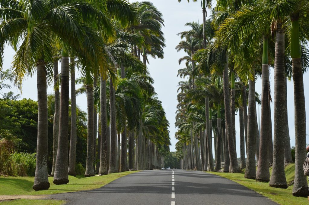 Les Hauts Lieux Vibratoires de Guadeloupe