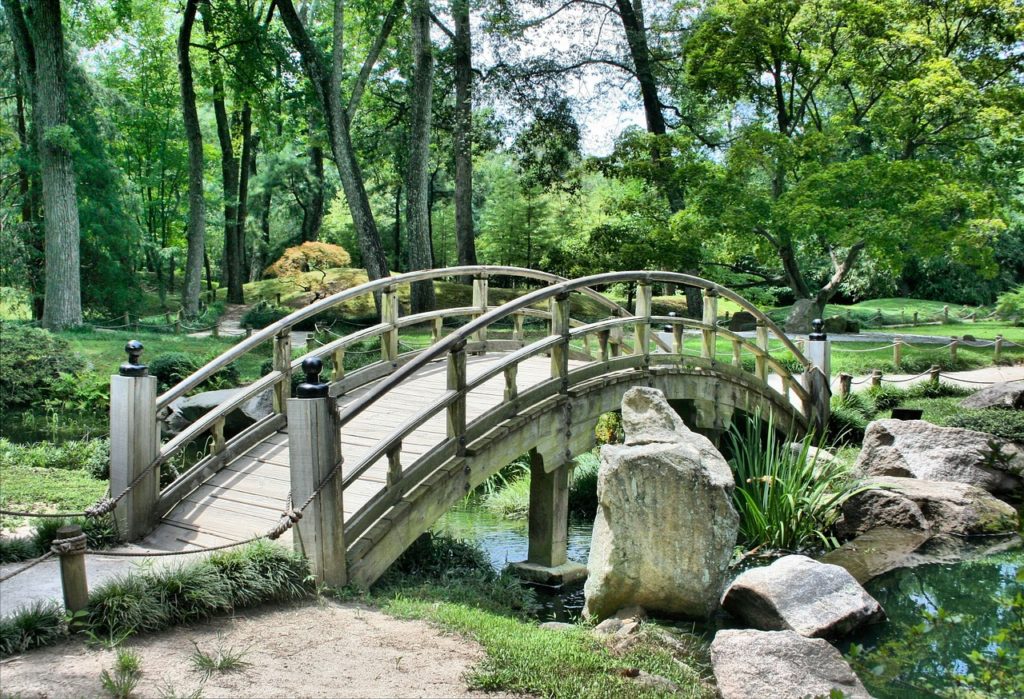 Géobiologie Végétale des Jardins et Espaces Verts