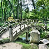 Géobiologie Végétale des Jardins et Espaces Verts