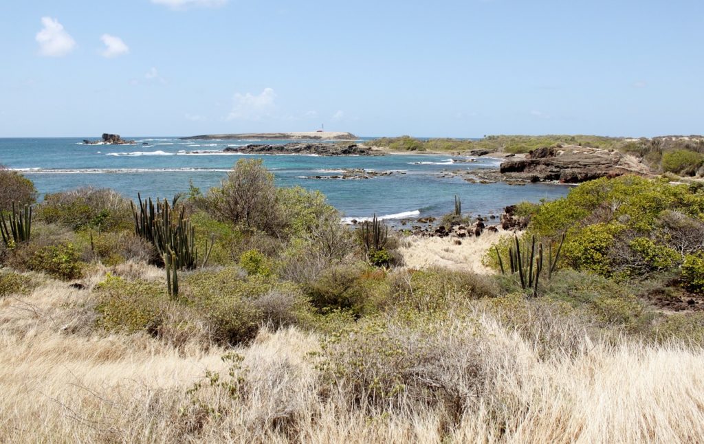 Les Hauts Lieux Vibratoires de la Martinique