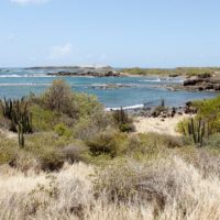 Les Hauts Lieux Vibratoires de la Martinique